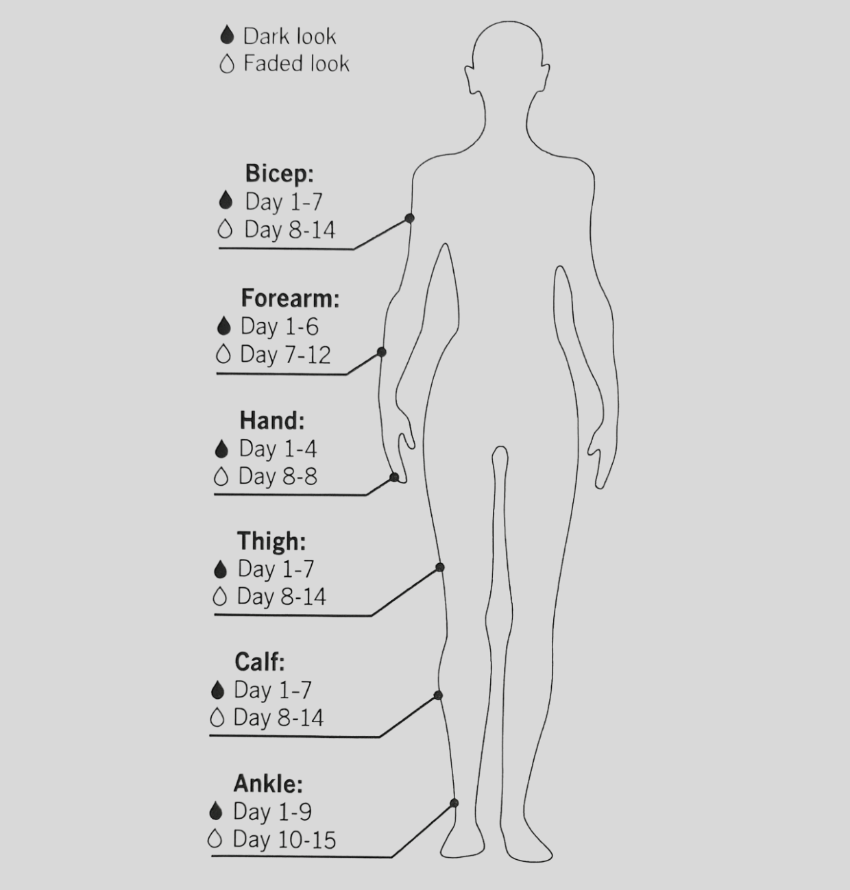 Tiger and Rose Tattoo