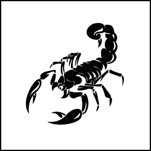 Scorpion Tattoo